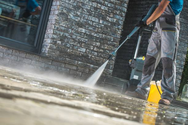 Best Building Exterior Washing  in New Carlisle, IN