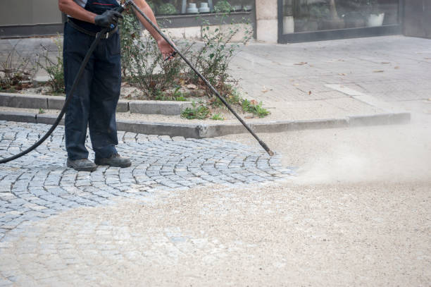 Best House Exterior Washing  in New Carlisle, IN